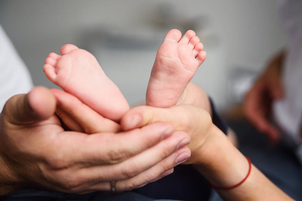 Feet of a newborn baby in parents hands. Happy family concept. Mum and Dad hug their babys legs. - Photo, Image
