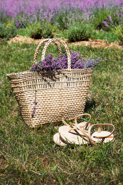 Bouquet of freshly cut lavender in a wicker basket and sandals on a background of a lavender field. - Photo, Image