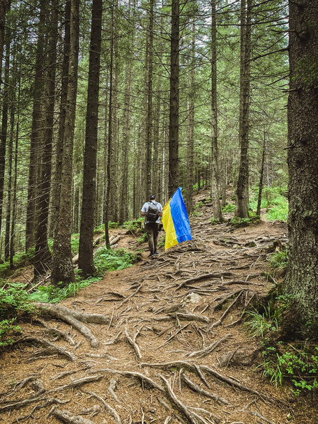 Mies metsässä Ukrainan lipun kanssa - Valokuva, kuva