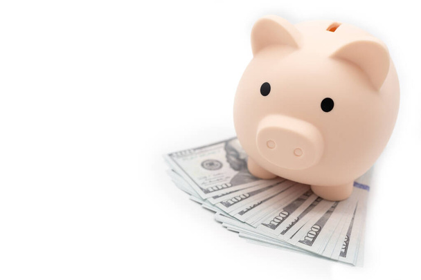 Piggy bank on dollars. business, finance, investment, saving and corruption concept. - Valokuva, kuva