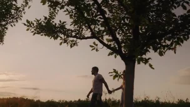 Silhouette di coppia uomo e donna che camminano tenendosi per mano nella natura su uno sfondo al tramonto. Famiglia felice, estate, vacanza. - Filmati, video