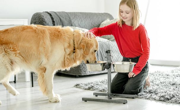 Beautiful young golden eating food at home, little girl palming pet - Foto, Bild