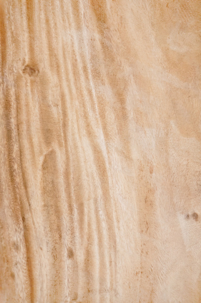 Texture of  wood background - Фото, изображение