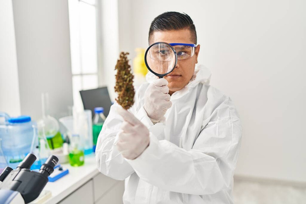 Νεαρός Λατίνος επιστήμονας ψάχνει βότανο κάνναβης με λούπα στο εργαστήριο - Φωτογραφία, εικόνα