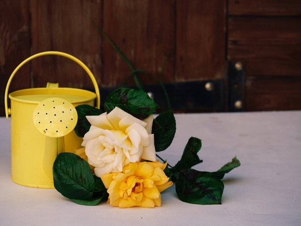 Желтая банка для полива и розы на заднем плане - Фото, изображение