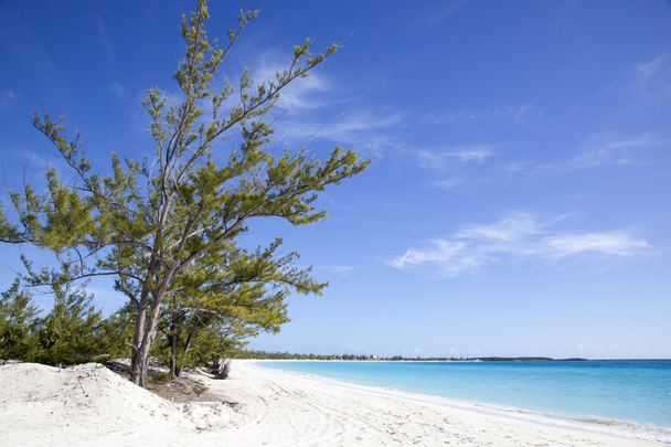 Пустой пляж, Багамы
 - Фото, изображение