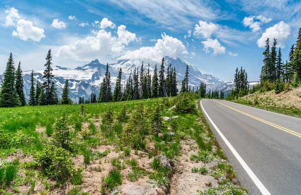 Vyhlídka a silnice na cestě na Mount Rainier ve státě Washington. - Fotografie, Obrázek