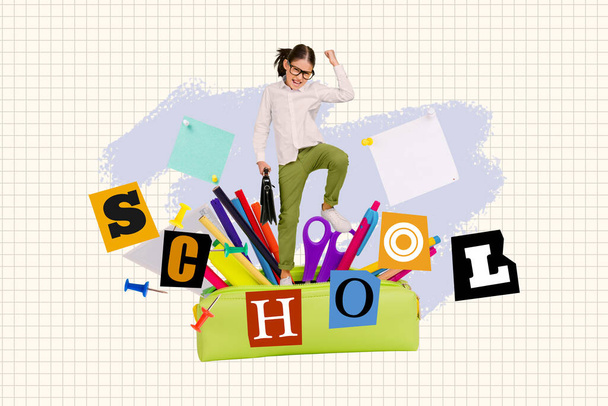 Creative illustration collage of funny schoolgirl nerd academic hold diplomat buy tools for education isolated on plaid paper background. - Foto, imagen