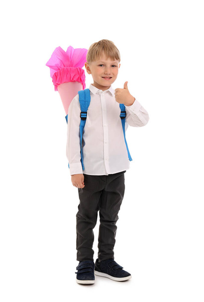 Little boy with backpack and pink school cone showing thumb-up gesture isolated on white background - Photo, Image