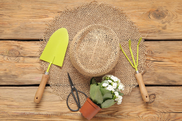 Солом'яний капелюх, горщик з рослинними та садовими інструментами на дерев'яному фоні - Фото, зображення