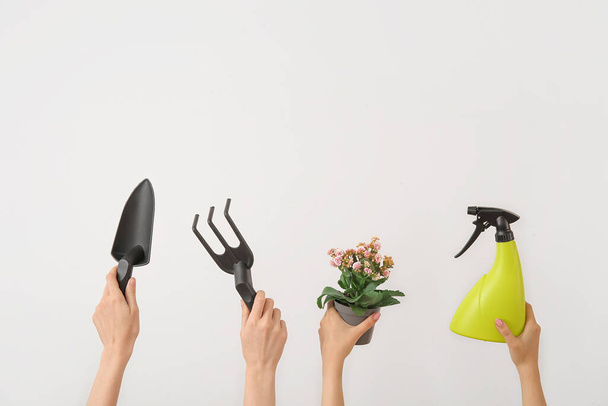 Femmes avec plantes et différents outils de jardinage sur fond clair - Photo, image