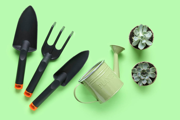 Gardening tools and succulent plants on green background - Valokuva, kuva