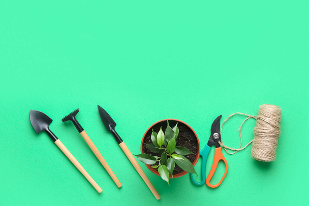 Gardening tools and plant on green background - Φωτογραφία, εικόνα