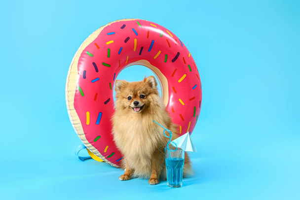 Cute Pomeranian dog with summer cocktail and swim ring on blue background - Fotografie, Obrázek