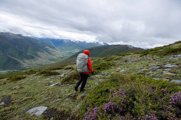 Hiking woman on high altitude mountain top - Foto, Imagen