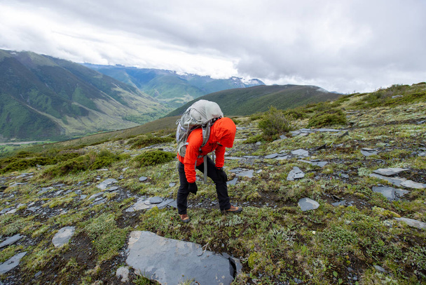 Hiking woman on high altitude mountain top - Photo, Image