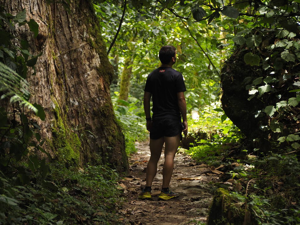 young man in the jungle of panama - Foto, immagini