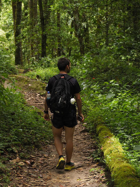 νεαρός άνδρας στη ζούγκλα του Παναμά - Φωτογραφία, εικόνα