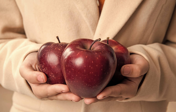 red apple in hands. hold apple in closeup. healthy apple fruits. photo of apple. - Zdjęcie, obraz