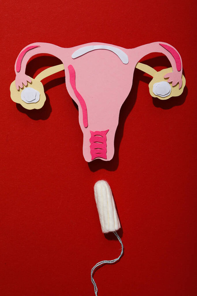 Mezzi di igiene femminile durante le mestruazioni, su sfondo rosso - Foto, immagini
