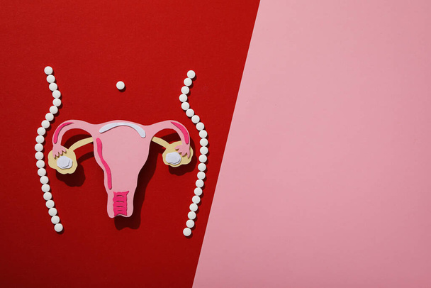 Silhouette of female figure with internal genitals, menstrual cycle concept - Zdjęcie, obraz