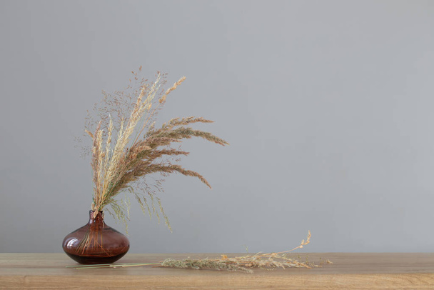 dried wild cereals in glass vase on background dark wall - Photo, Image