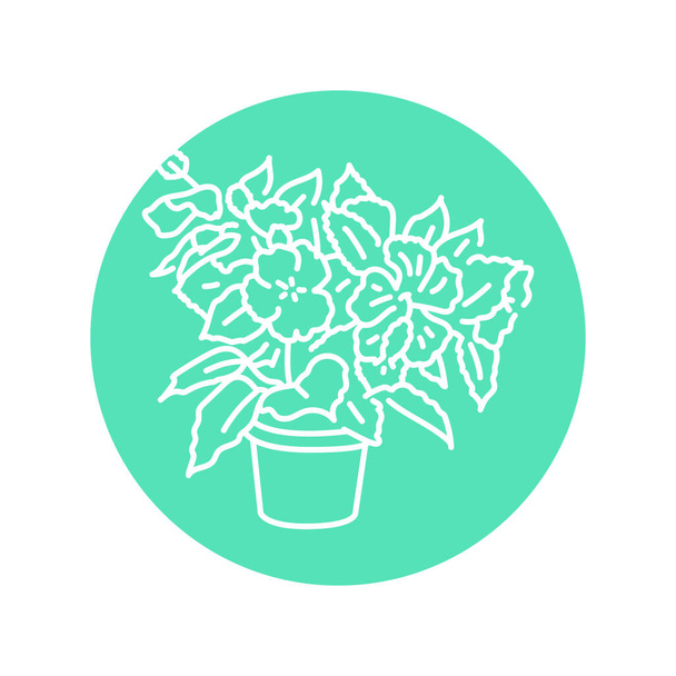 Hibiscus houseplant black line icon. Indoor decorative plant. - Vector, Image