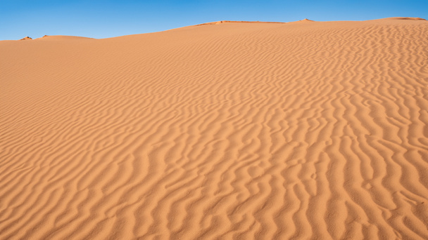 Gyönyörű homokdűnék a sivatagban - Fotó, kép