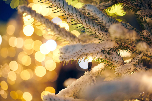 Christmas tree with yellow garlands lights and bokeh copy space, outdoor xmas green tree with decorative garlands, outdoor winter holiday atmosphere. Festive Christmas tree decorations covered snow - Photo, Image