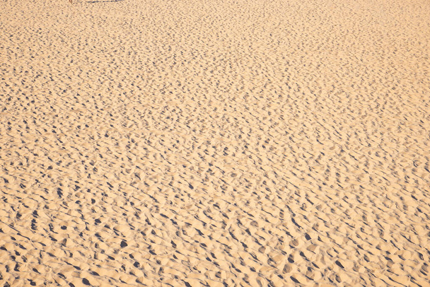 ξηρό εγκαταλελειμμένο έδαφος με τσαλακωμένη άμμο, φυσικό υπόβαθρο - Φωτογραφία, εικόνα