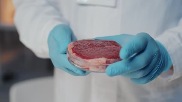 lähikuva mikrobiologin käsineistä laboratoriotakissa pyörivä petrimalja, joka sisältää palan solukasvatettua lihaa seistessään kameran edessä tieteellisessä laboratoriossa - Materiaali, video