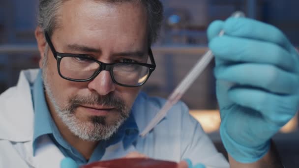 Kypsän miespuolisen tiedemiehen kasvot silmälaseissa, laboratoriotakissa ja käsineissä, jotka pitelevät pipettiä laboratorion kasvattaman lihan päällä ja laittavat joitain tippoja pf-synteettisen tuotteen päälle - Materiaali, video