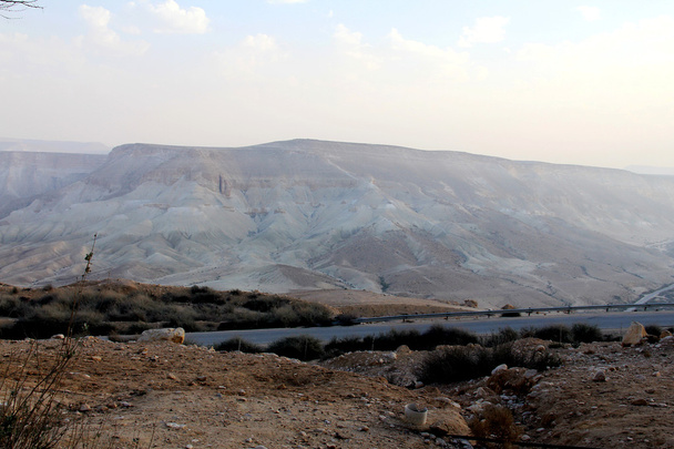 Cañón Ein-Avdat en el desierto pedregoso de Negev
 - Foto, imagen