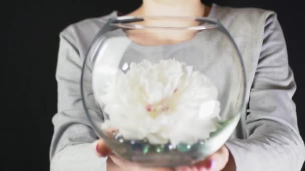 Uma mulher segura um vaso de vidro com uma flor branca e pedras decorativas. Foco flutuante. Vídeo futurista. Vídeo 4K. Imagens cinematográficas horizontais - Filmagem, Vídeo
