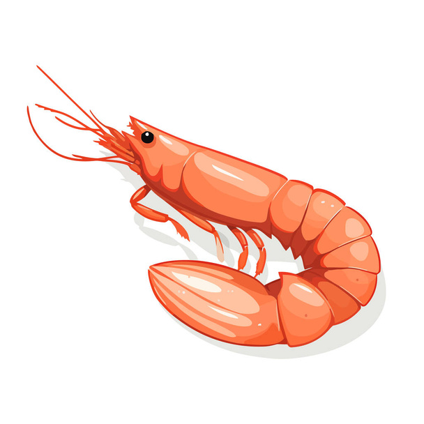 Shrimp Bild isoliert. Shrimp-Symbol. Niedliche rote Garnele in flachem Design. Vektorillustration - Vektor, Bild