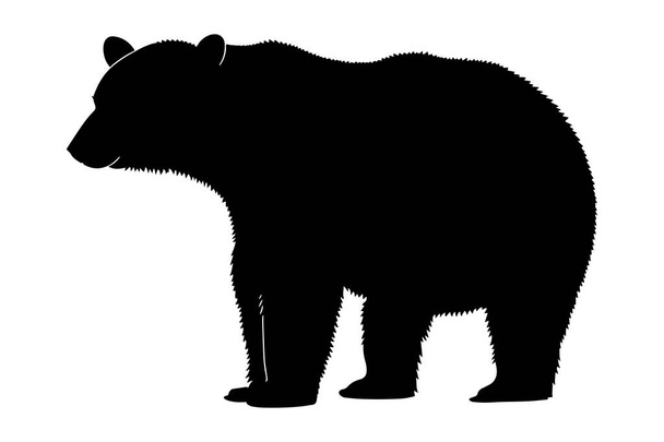 Πολική αρκούδα σιλουέτα. Εικονογράφηση διάνυσμα - Διάνυσμα, εικόνα