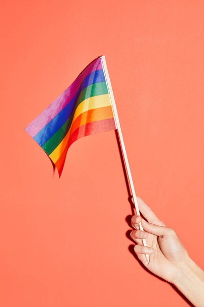Vibrant shot of female hand holding rainbow flag at pink background as symbol for pride month LGBTQ - Photo, Image