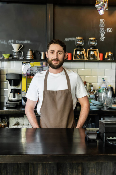 smiling bearded barista in apron looking at camera while standing and working in cafe - Foto, immagini