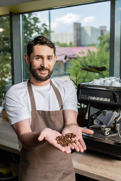 barista barbudo alegre em avental mostrando grãos de café enquanto trabalhava em café no fundo - Foto, Imagem