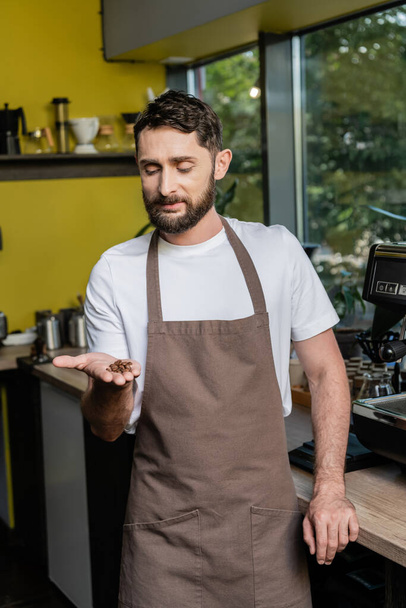 Szakállas barista kötényben kezében kávébab, miközben dolgozik elmosódott kávézó a háttérben - Fotó, kép