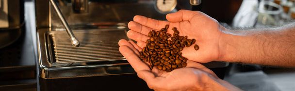 καλλιεργημένη άποψη του barista κρατώντας κόκκους καφέ κοντά θολή μηχανή καφέ στο καφέ, πανό - Φωτογραφία, εικόνα