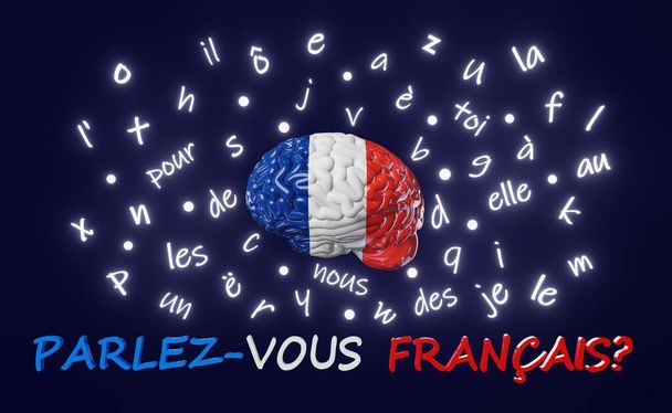 Do you speak French translation. Learning Foreign language Human brain glowing letters articles words 3d render. Studying Native speakers Memory improvement . Online course education Listening Reading - Fotoğraf, Görsel