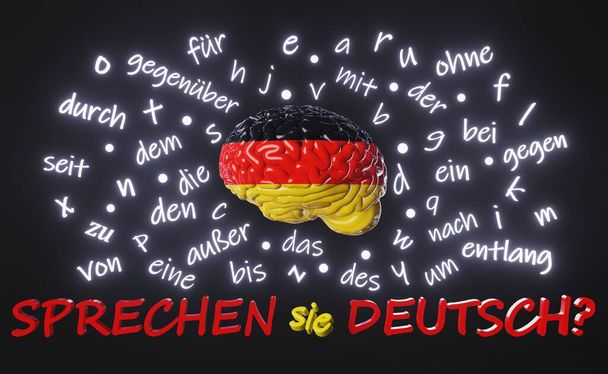 Sprechen Sie Deutsch Do You Speak German translation. Learning Foreign language fluency Human brain letters articles words prepositions 3d rendering. Studying Online course education Listening Reading - Foto, immagini