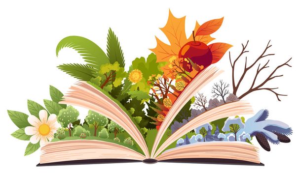 Book four seasons. Fairy tale story about four seasons, summer, winter, spring, autumn. Open book with different season on pages. Reading fantasy storybook about nature. Vector illustration. - Vector, Image