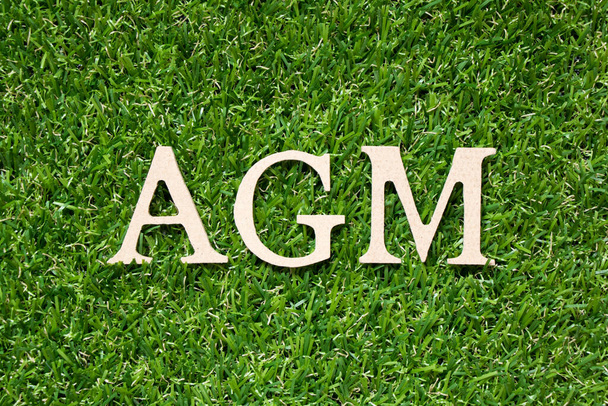 Γράμμα από ξύλινο αλφάβητο στη λέξη AGM (Συντομογραφία της ετήσιας γενικής συνέλευσης) σε τεχνητό πράσινο φόντο γρασίδι - Φωτογραφία, εικόνα
