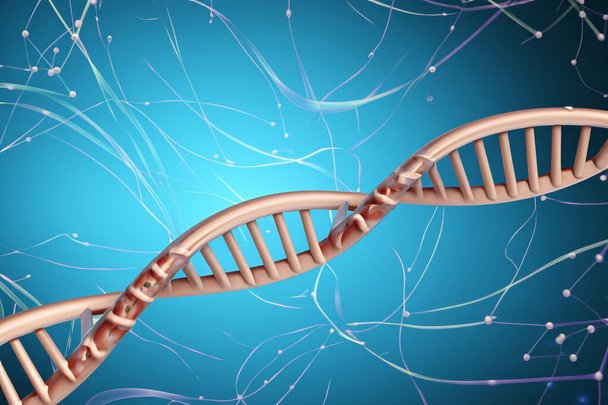 DNA testi. İnsan hücre biyolojisinin DNA iplikçiklerinin moleküler yapısının tasviri. Mavi DNA yapısı izole edilmiş. Üç boyutlu illüstrasyon. DNA molekülünün sarmal sarmalı. Genetik hücre kavramı. - Fotoğraf, Görsel
