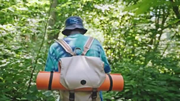 Man hiker backpacker traveler in cap walking hiking in forest, back view. Tourism, travel, hike, trip, adventure concept. He has backpack on shoulders and touristic mat. He is walking alone. - Video