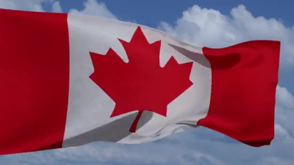 canada flag fluttering in the wind canadian patriotic first of July 3d animation infinite loop - Кадры, видео