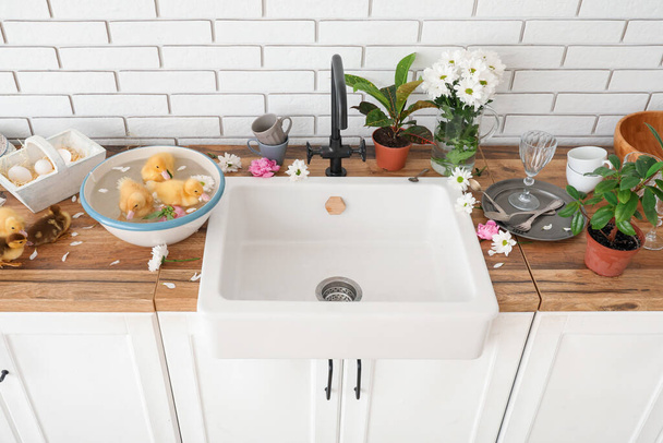 Schüssel mit Wasser und niedlichen Entchen in der Küche - Foto, Bild