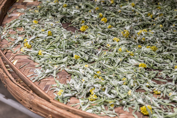  foglie di tè essiccazione in cesto di vimini. Foto di alta qualità - Foto, immagini
